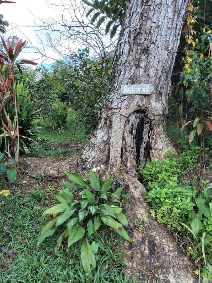 Forest Garden Residence Bilar Dış mekan fotoğraf
